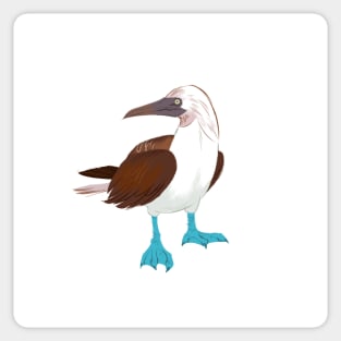 Blue-Footed Booby Sticker